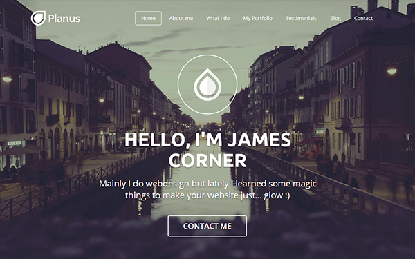 Bootstrap theme PlanusWP - One Page WordPress Theme